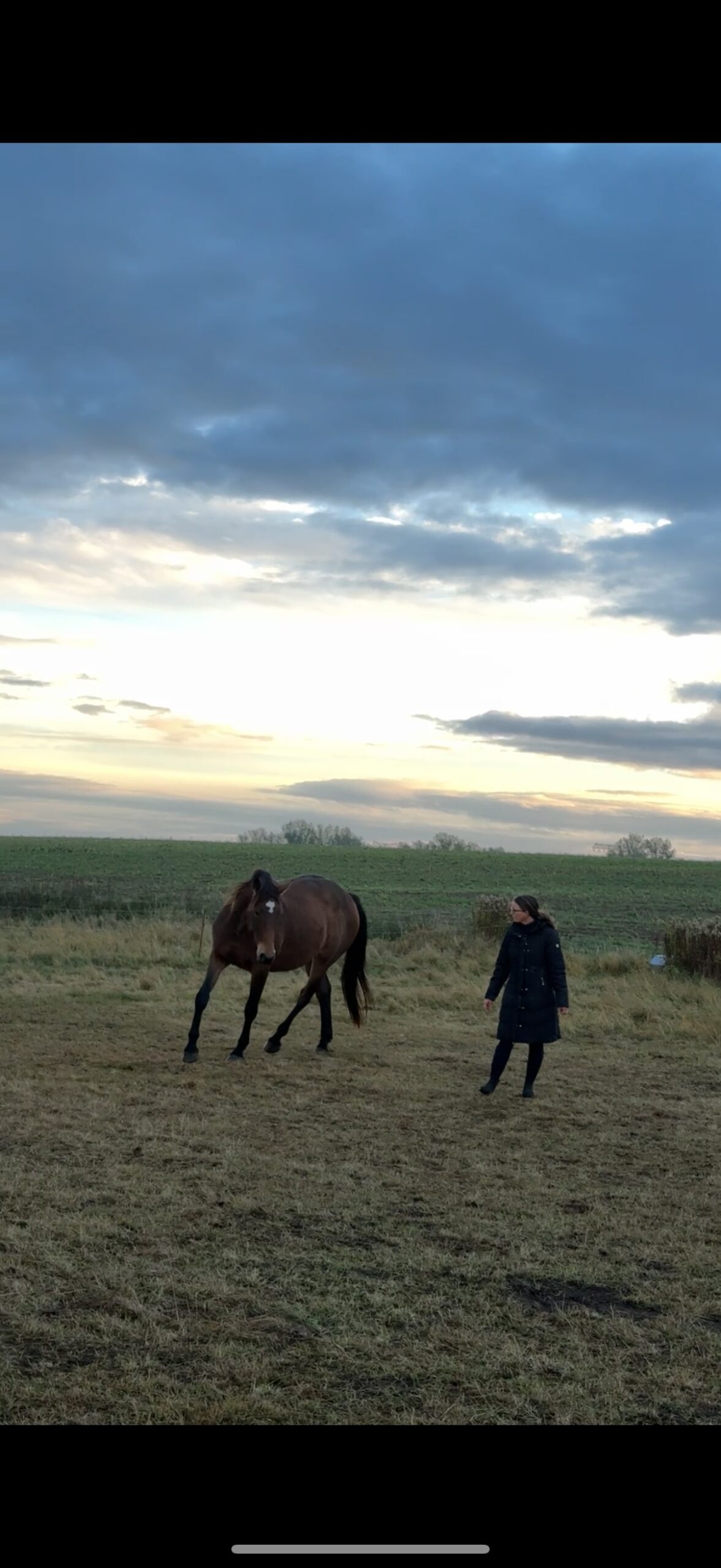 Wildrosenhof-Freiarbeit-02