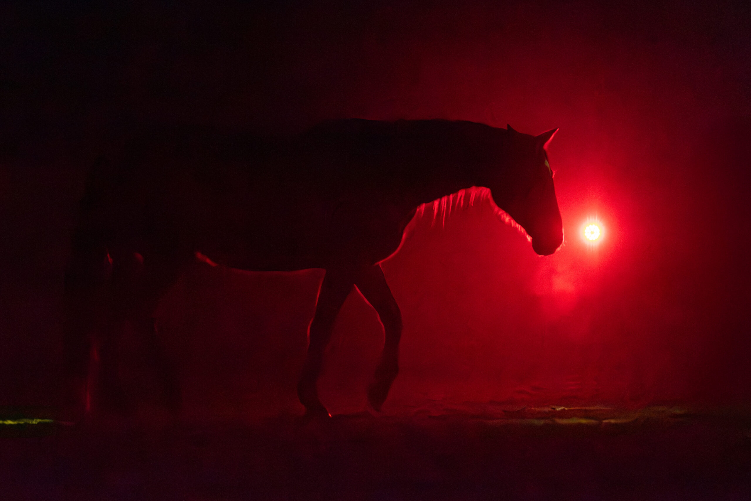 Wildrosenhof-Freiarbeit-03