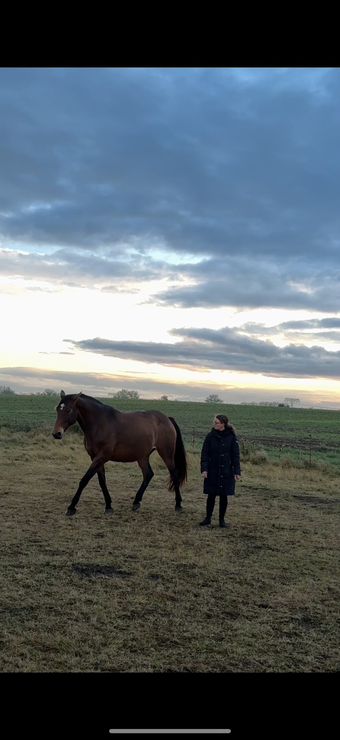 Wildrosenhof-Freiarbeit-04