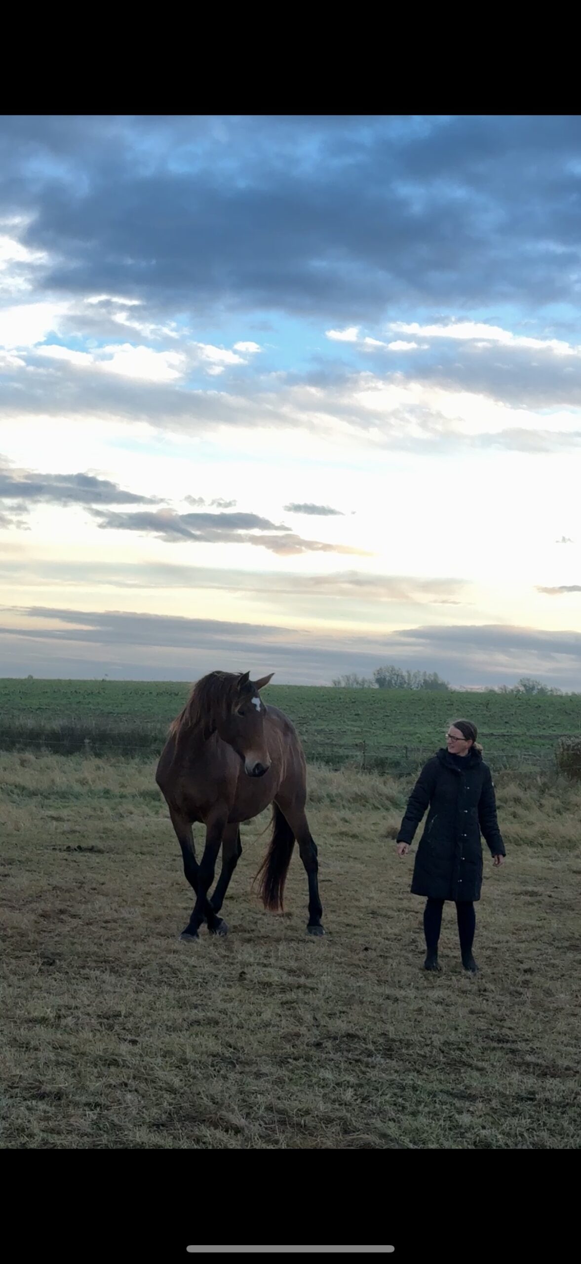 Wildrosenhof-Freiarbeit-06