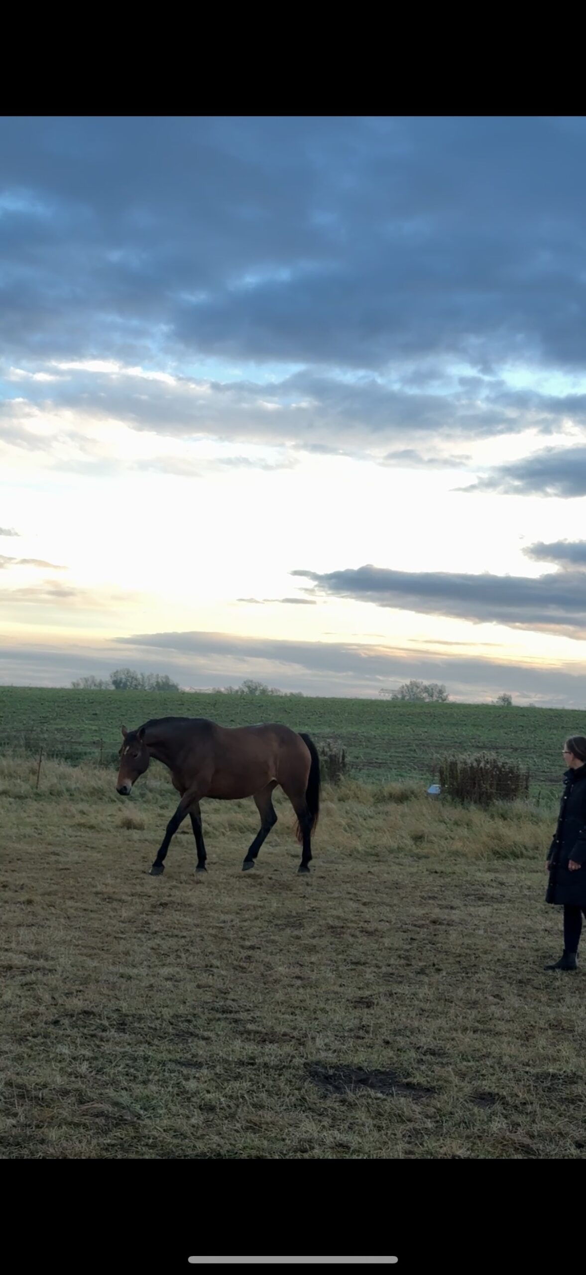 Wildrosenhof-Freiarbeit-07