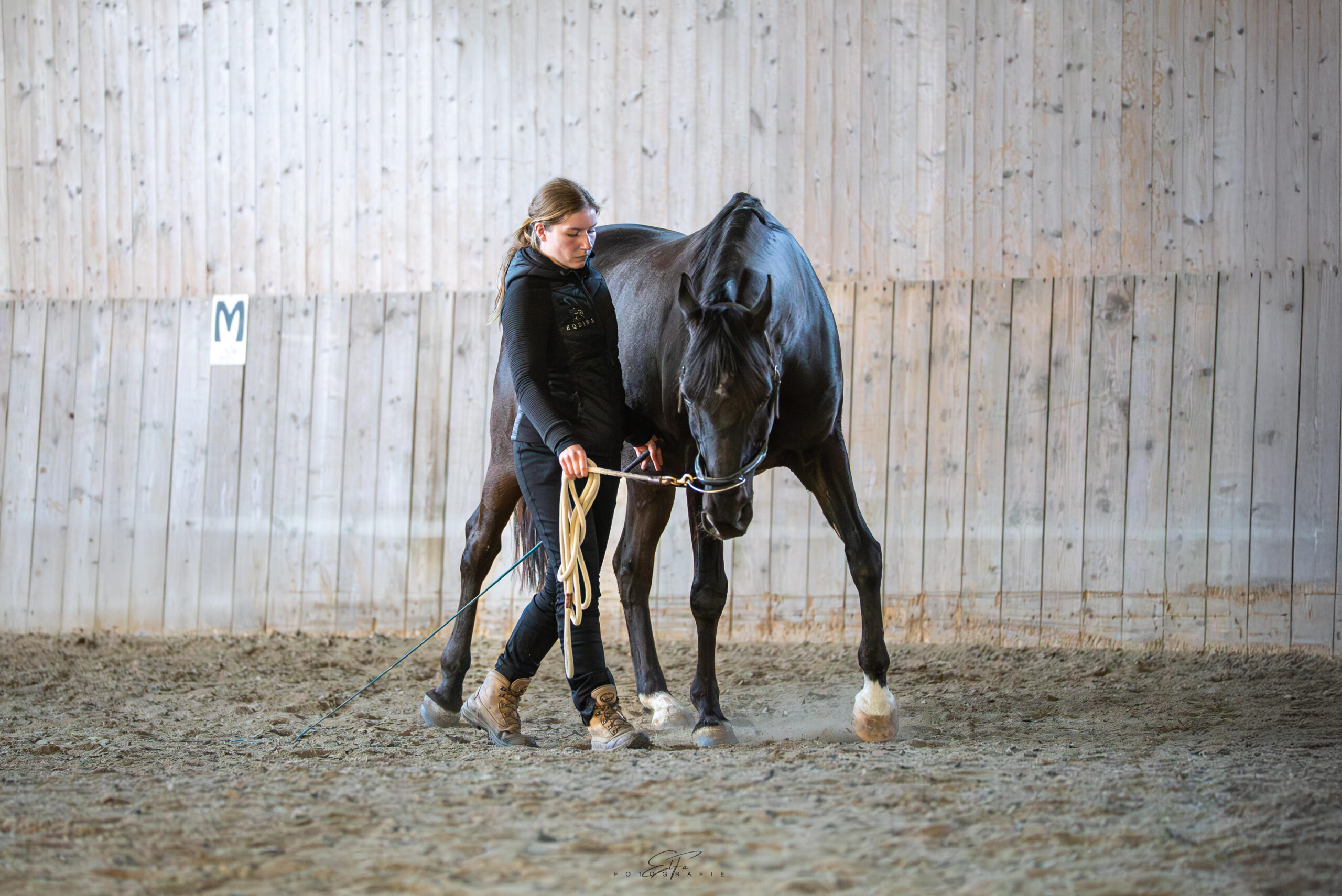 Wildrosenhof-Kurs-tensegrales-Training