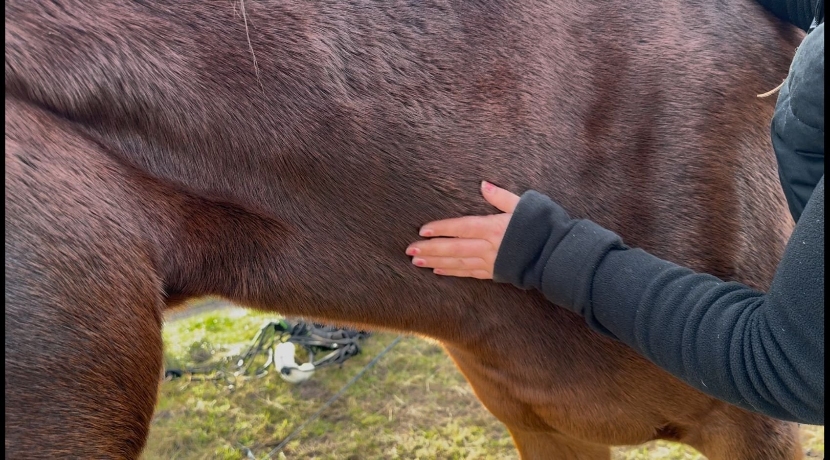 Wildrosenhof-Swantje-Rutkowski-Faszienarbeit-5