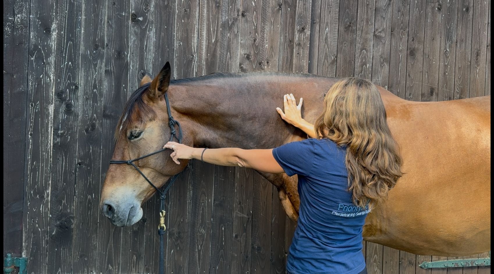 Wildrosenhof-Swantje-Rutkowski-Faszienarbeit