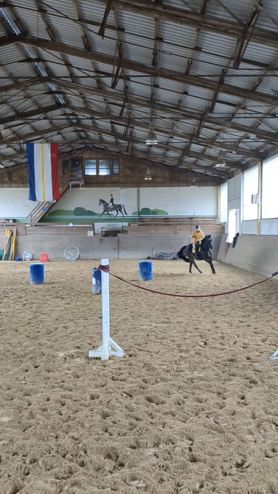 Wildrosenhof-Working-Equitation-Alt-Sammit