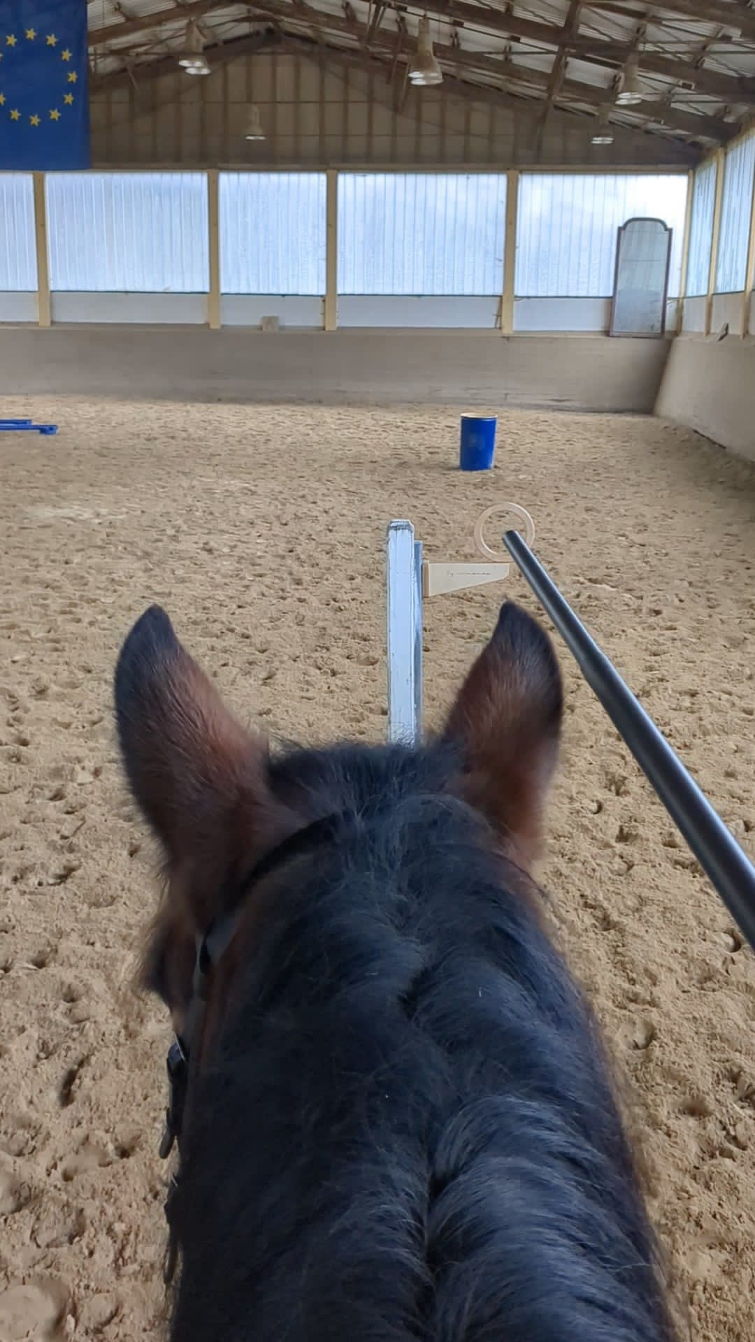 Wildrosenhof-Working-Equitation-Dressur