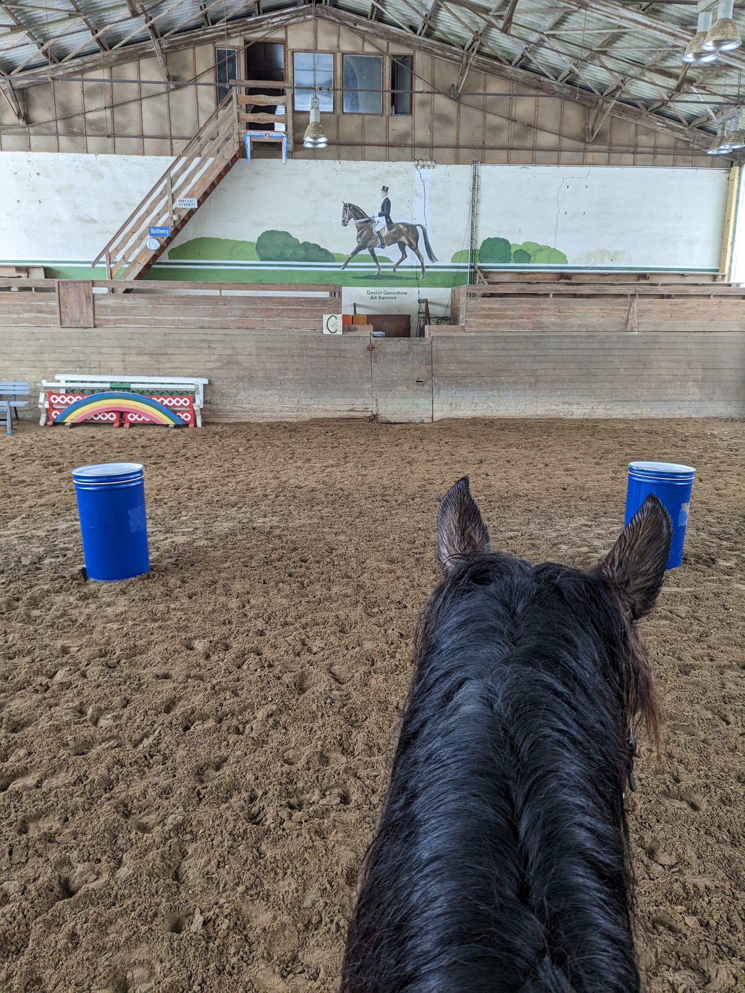 Wildrosenhof-Working-Equitation