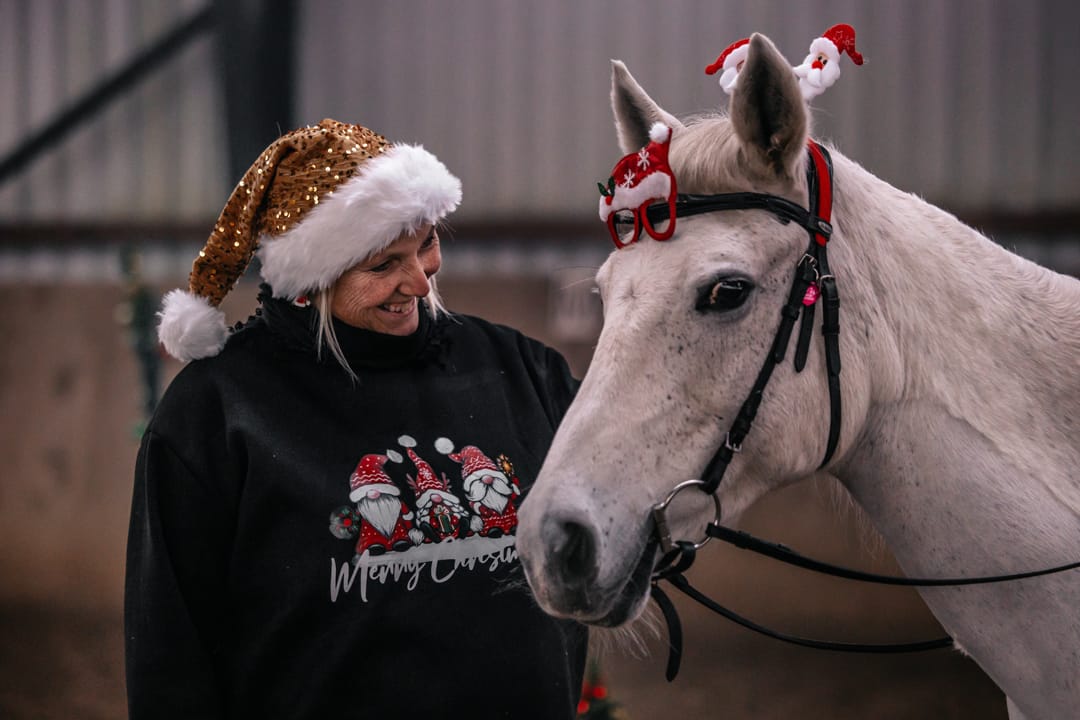 Wildrosenhof-Conny-Mertens-X-Mas-Working-Equitation