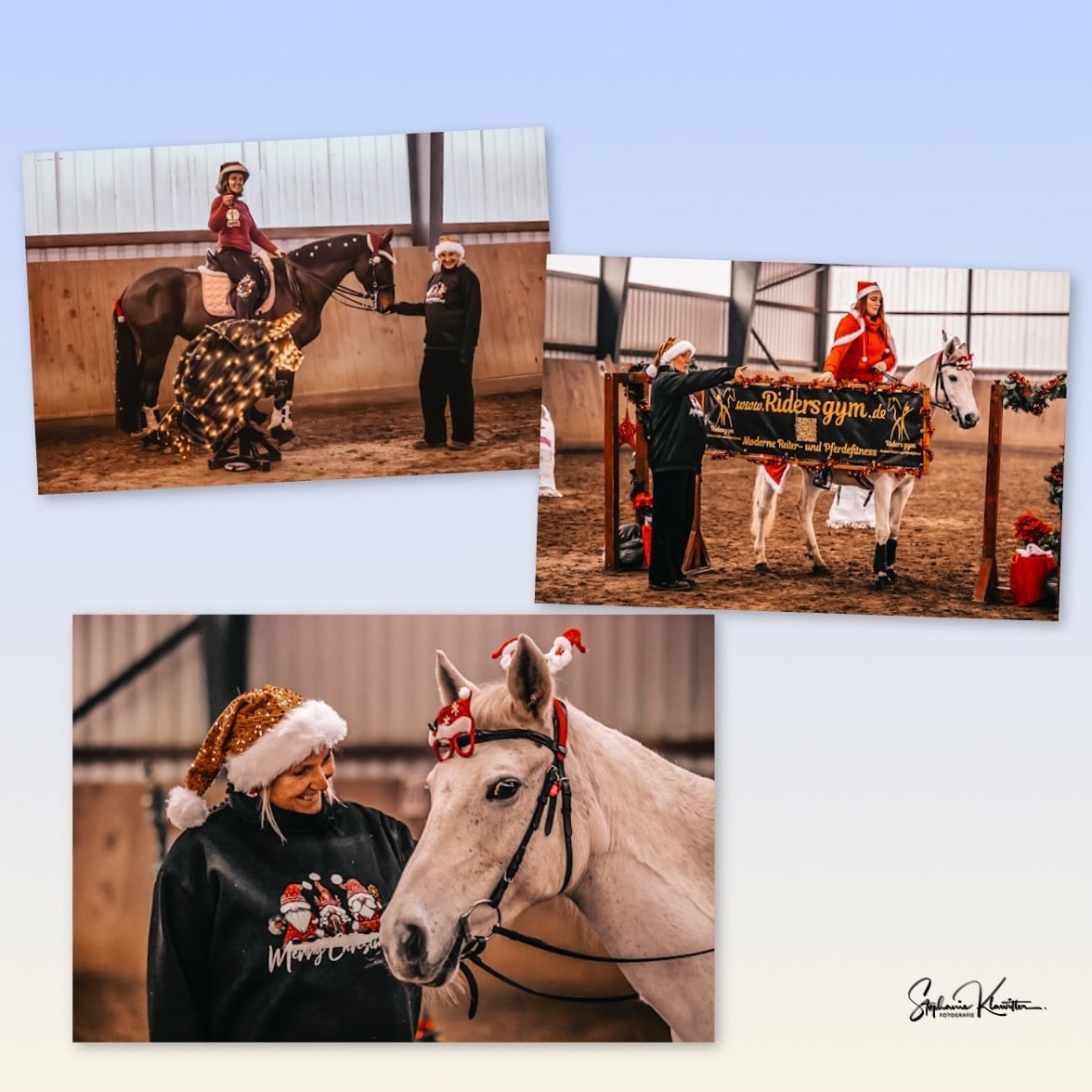 X-Mas-Wildrosenhof-Conny-Mertens-Working-Equitation