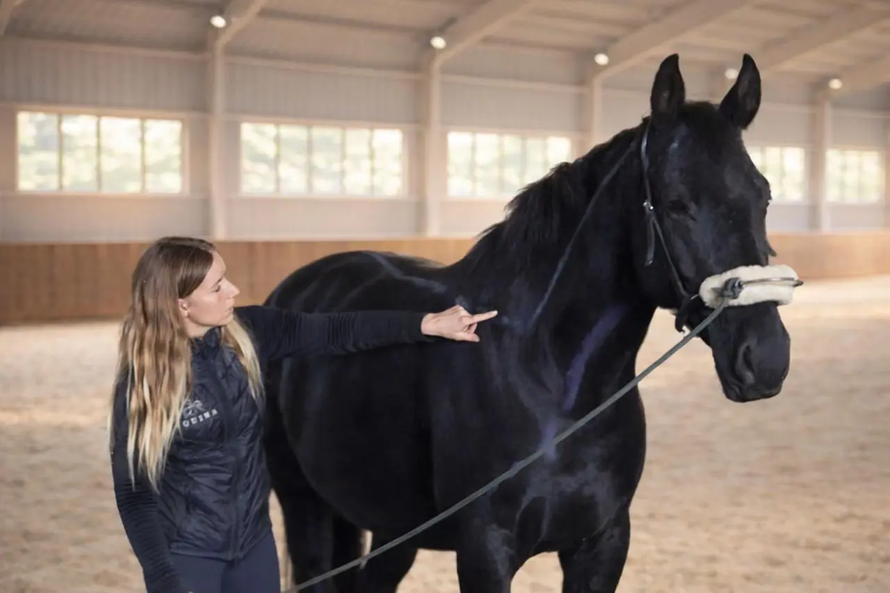 wildrosenhof-release-Equina