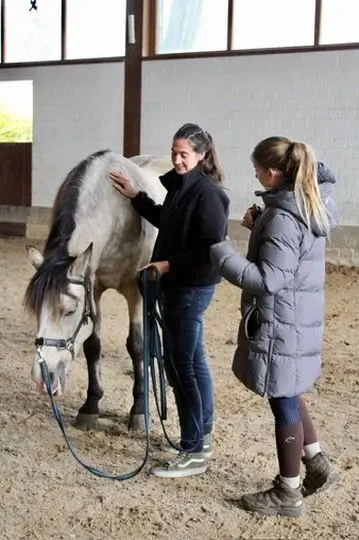 wildrosenhof-release-move-training